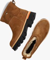 Braune PANAMA JACK Ankle Boots LAIA  - medium