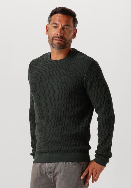 Dunkelgrün DSTREZZED Pullover NOVEL CREWNECK - large