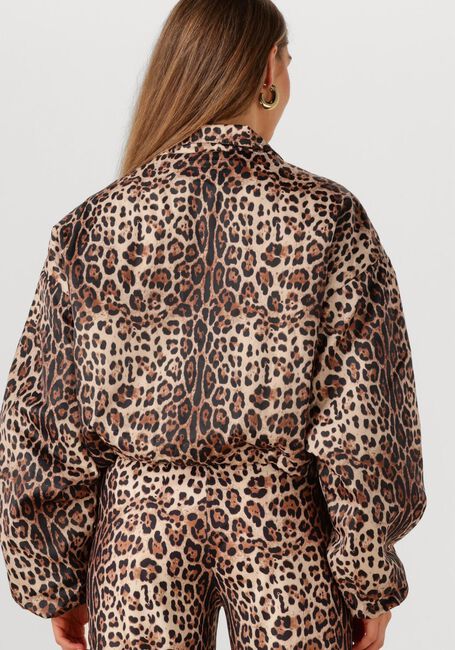 Braune STUDIO AMAYA Jack FELINE - large