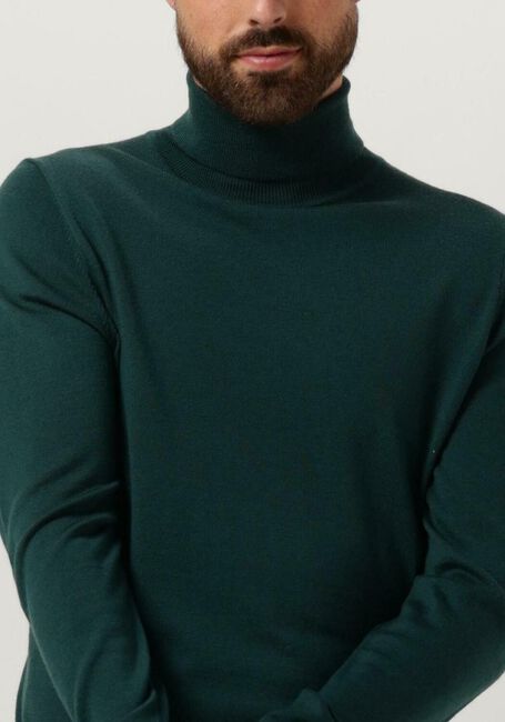 Grüne DRYKORN Rollkragenpullover JOEY 420002 - large