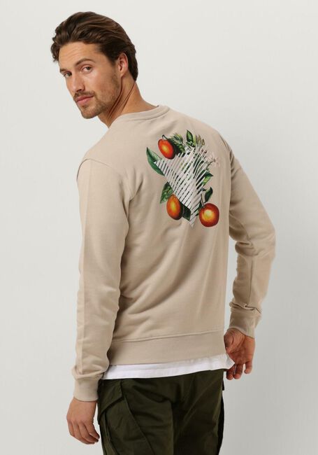 Sand PURE PATH Pullover CREWNECK WITH FNT AND BACK PRINT - large
