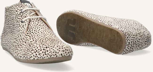 Beige MARUTI Schnürschuhe GIMLET Beige MARUTI Schnürschuhe GIMLET - large