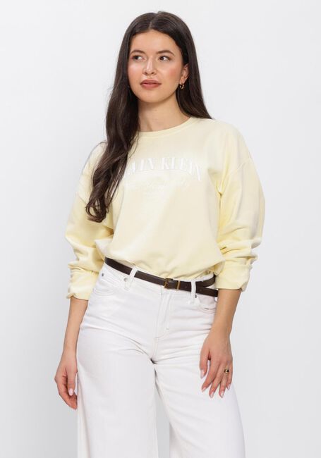 Gelbe CALVIN KLEIN Pullover LOGO GRAPHIC CREWNECK SWEATSHIRT - large