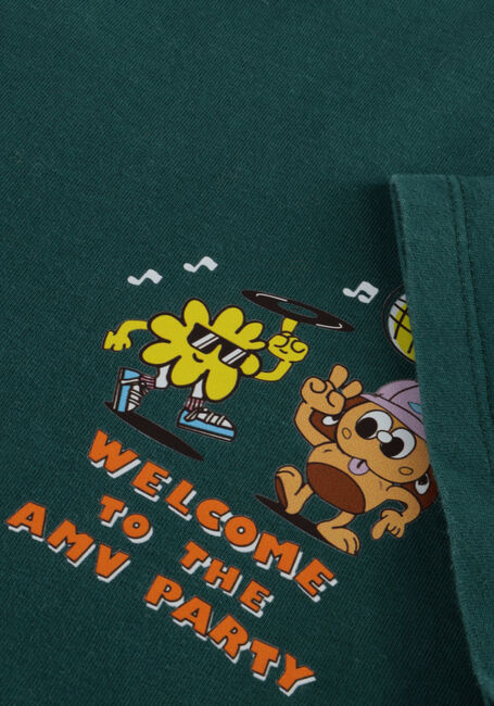 Dunkelgrün AMERICAN VINTAGE T-shirt FIZVALLEY - large