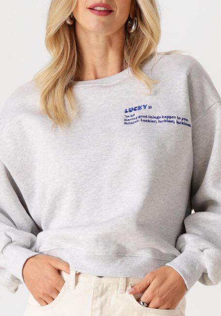 Hellgrau BY-BAR Sweatshirt BIBI HEAVY SWEATER - large