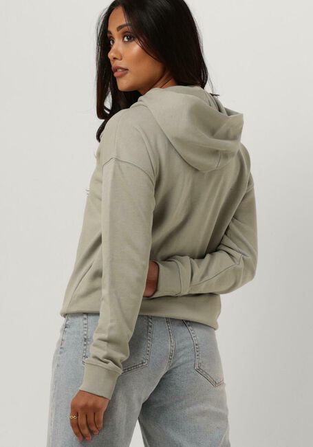 Grüne TOMMY JEANS Sweatshirt TWJ BXY XS BADGE HOODIE - large