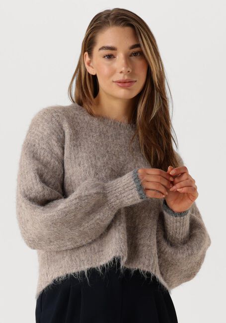 Braune CO'COUTURE Pullover & Cardigans CORALEE CROP KNIT - large