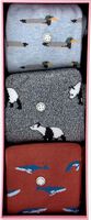 Mehrfarbige/Bunte ALFREDO GONZALES ANIMALS BOX Socken - medium