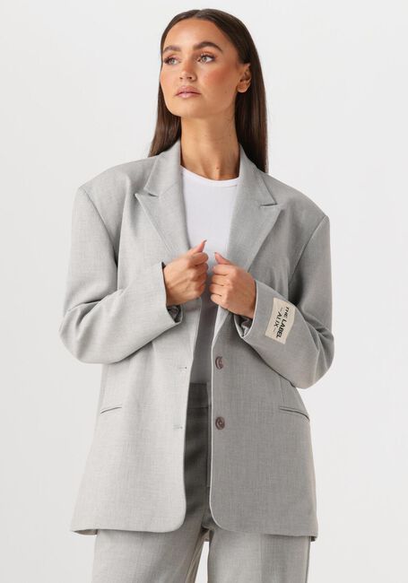 Hellgrau ALIX THE LABEL Blazer LADIES WOVEN FOIL STRIPE BLAZER - large