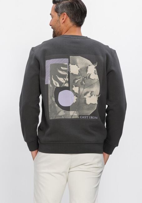 Dunkelgrau CAST IRON Sweatshirt RELAXED FIT GRAPHIC - large