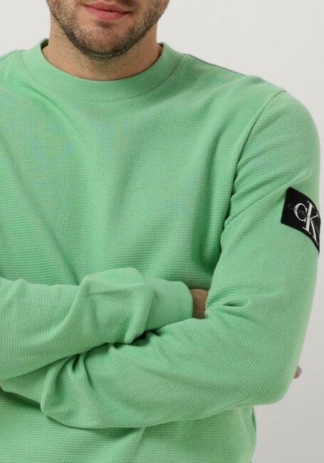 Grüne CALVIN KLEIN Sweatshirt MONOLOGO BADGE WAFFLE LS TEE - large