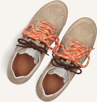 Beige SHABBIES Sneaker Low APRIL MINA Beige SHABBIES Sneaker Low APRIL MINA - medium