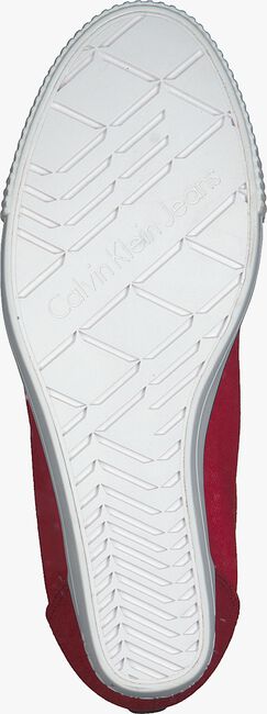 Rote CALVIN KLEIN Sneaker low RITZY - large