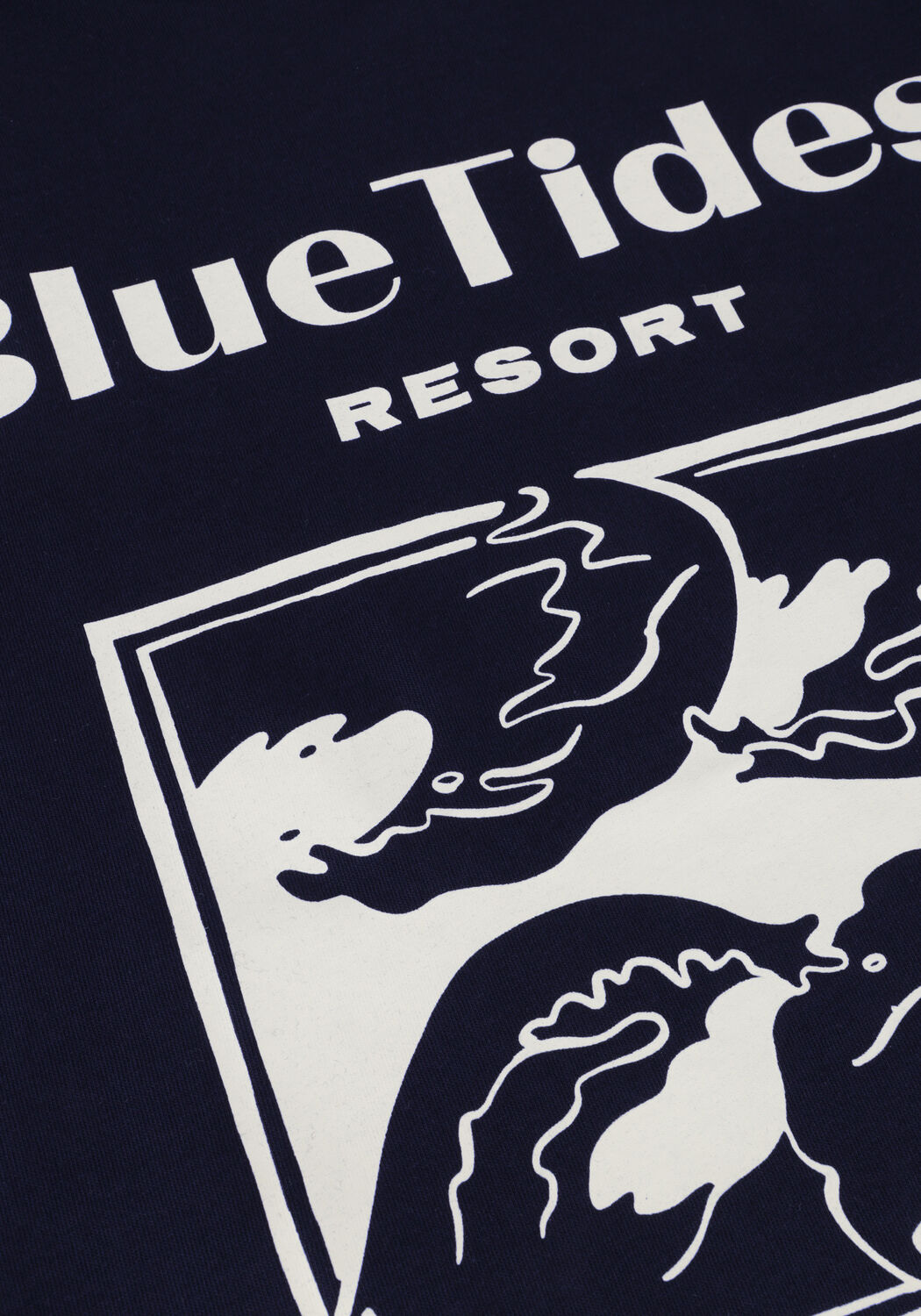 Dunkelblau SHIWI T-shirt MEN LIAM REGULAR T-SHIRT BLUE TIDES - large