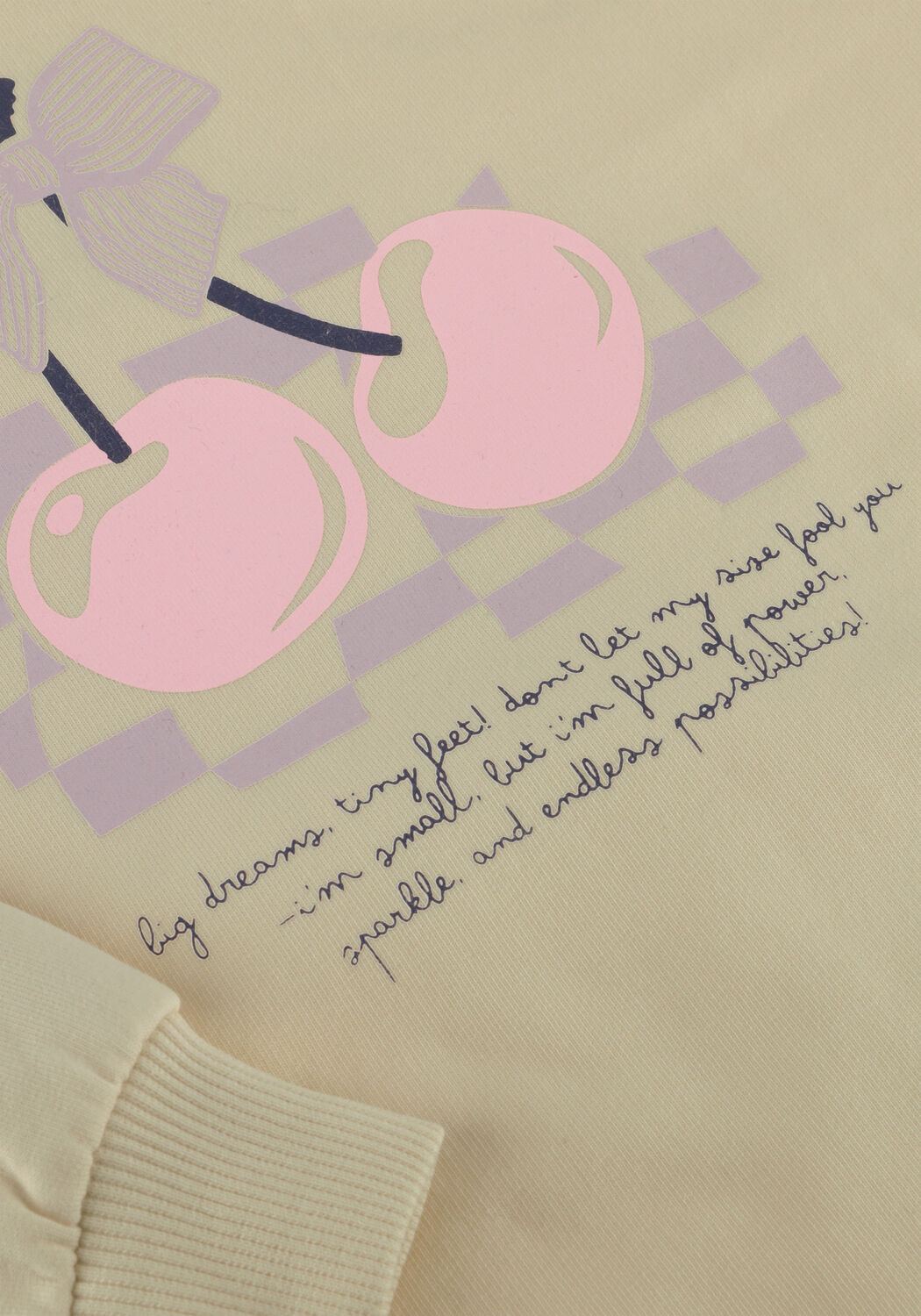 Ecru THE NEW Sweatshirt TNSTSALINA - large