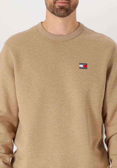 Braune TOMMY JEANS Pullover TJM REG BAGDE CREW EXT - large