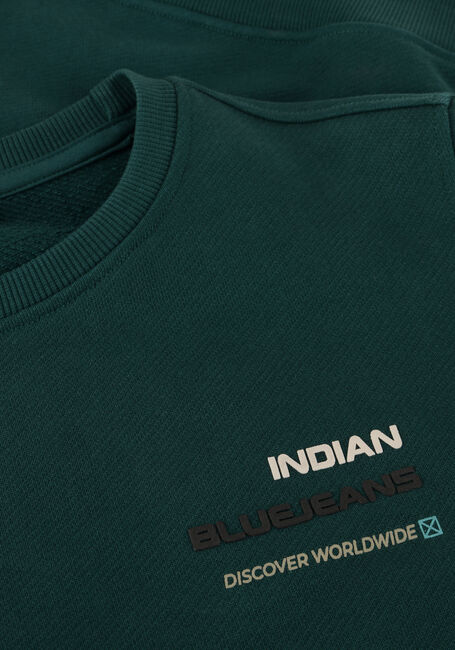 Dunkelgrün INDIAN BLUE JEANS Sweatshirt LOOSE FIT SWEAT BACKPRINT - large