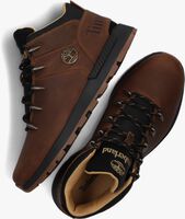 Braune TIMBERLAND Sneaker high SPRINT TREKKER MID LACE M - medium