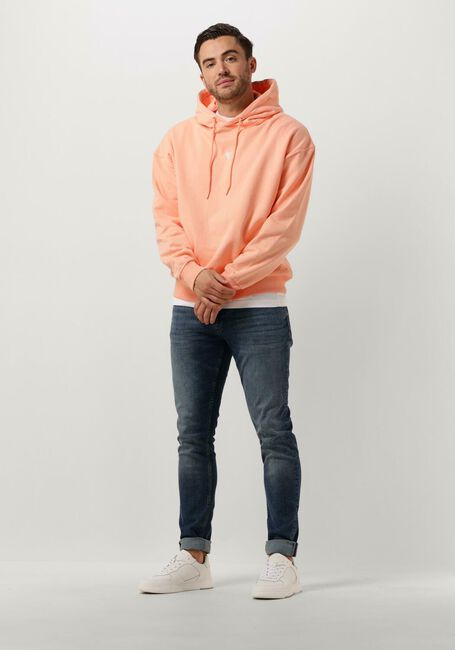 Koralle PURE PATH Pullover HOODIE WITH BACK PRINT AND SMALL FRONTPRINT - large