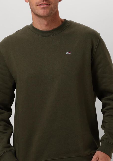 Dunkelgrün TOMMY JEANS Pullover TJM REG S FLAG CREW - large