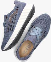 Blaue SOFTWAVES Sneaker low 8.95.04 - medium