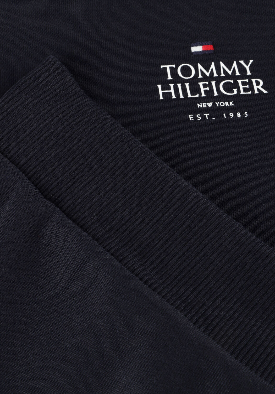 Blaue TOMMY HILFIGER Sweatshirt TH LOGO PUFF PRINT REG HOODIE - large