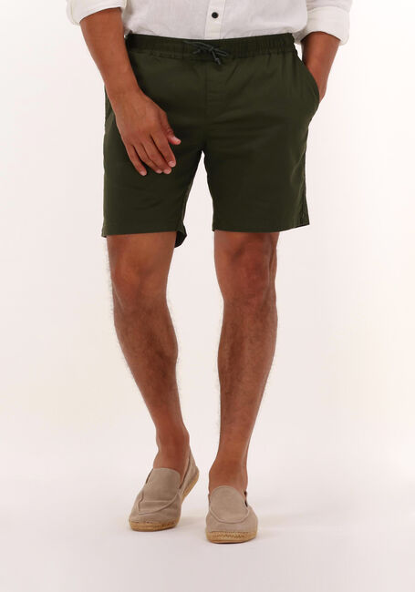 Dunkelgrün ANERKJENDT Kurze Hose AKLT JIMMY SHORTS - large