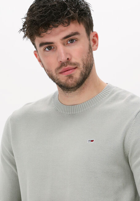 Grüne TOMMY JEANS Pullover TJM ESSENTIAL LIGHT SWEATER - large