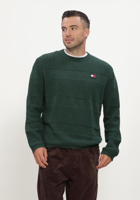 Dunkelgr&uuml;n TOMMY JEANS Pullover TJM REG TEXTURED SWEATER EXT - large