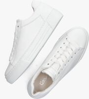 Weiße GABOR Sneaker low 460.1 - medium