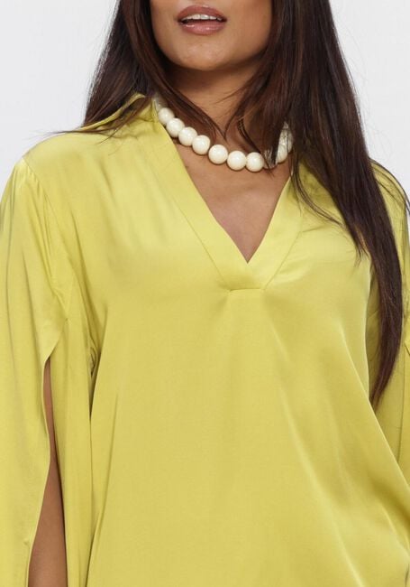 Gr&uuml;ne NEMA Blusen N017 - large