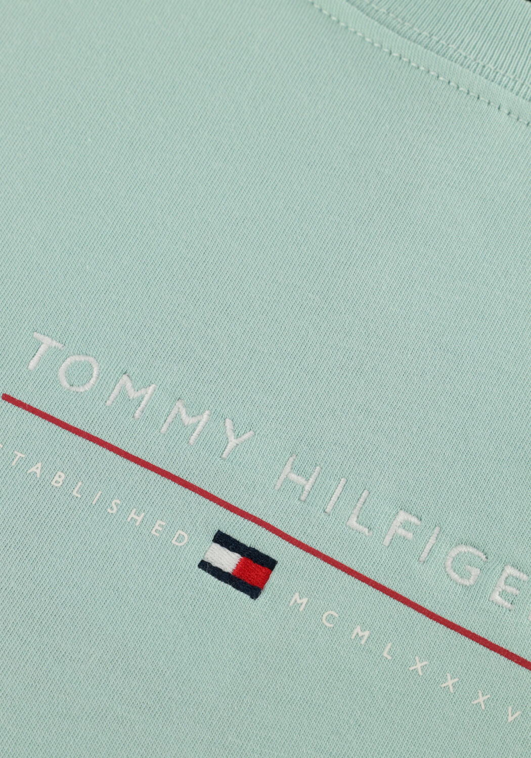 Minze TOMMY HILFIGER T-shirt BRAND LOVE LOCKUP TEE - large