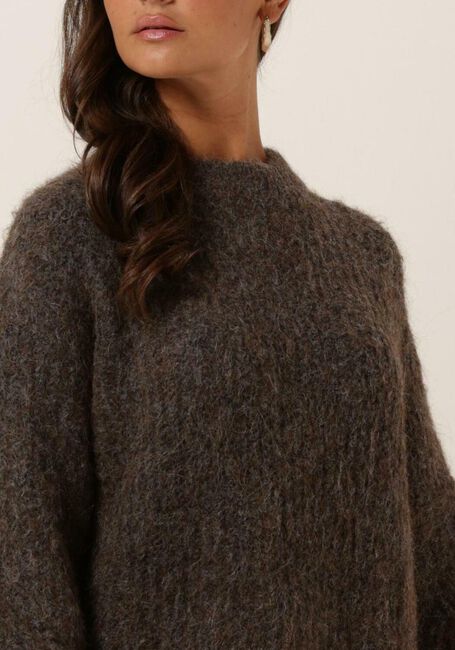 Braune MOVES Minikleid OBSTA - large