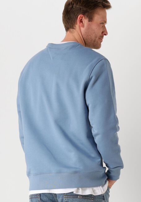 Blaue TOMMY JEANS Pullover TJM REG BADGE CREW EXT - large