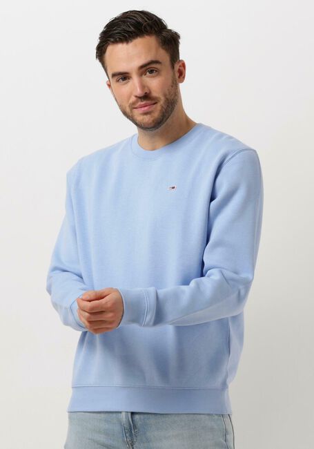 Blaue TOMMY JEANS Pullover TJM REGULAR FLEECE C NECK - large