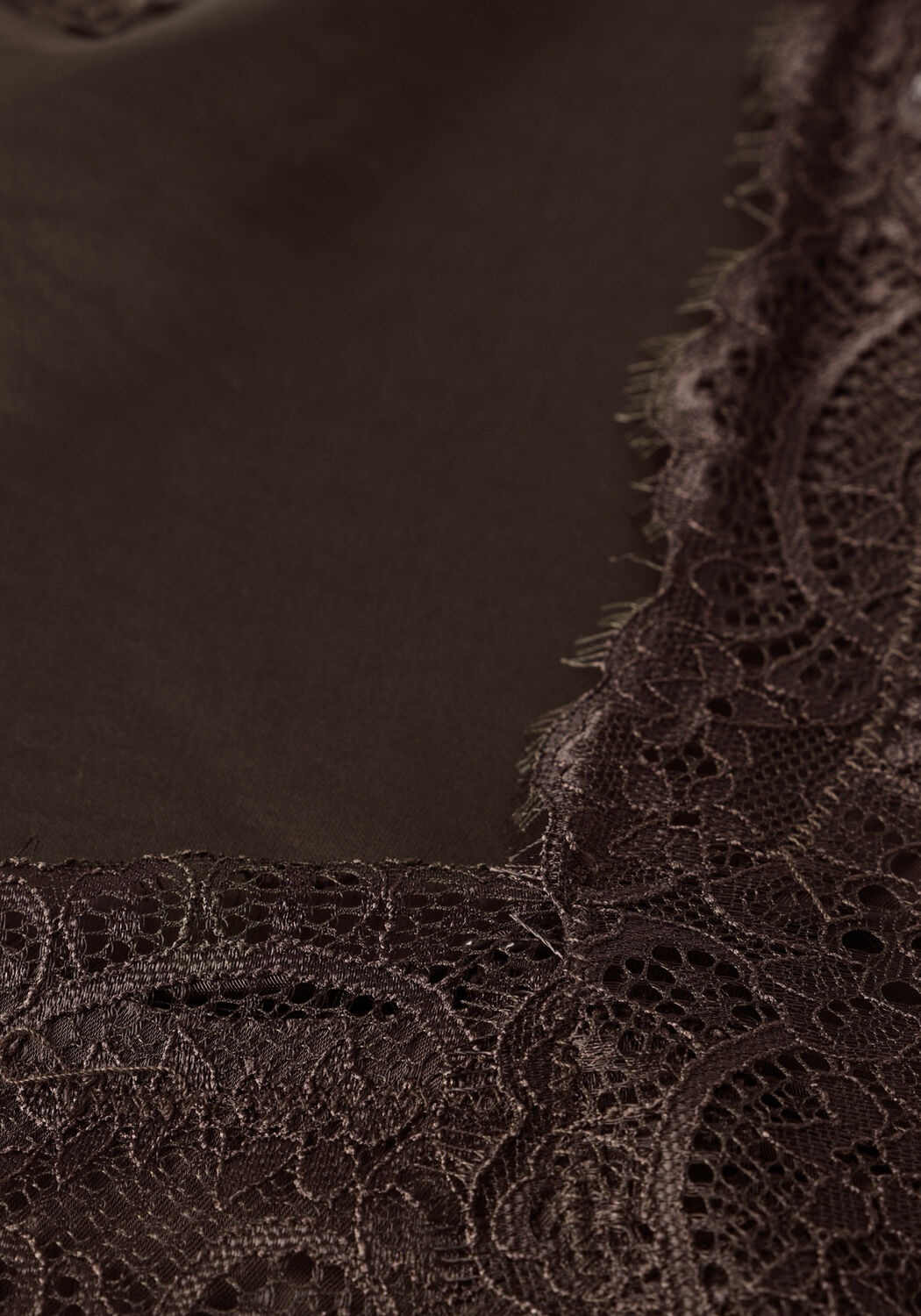 Braune NEO NOIR Midikleid SORELLE LACE DRESS - large