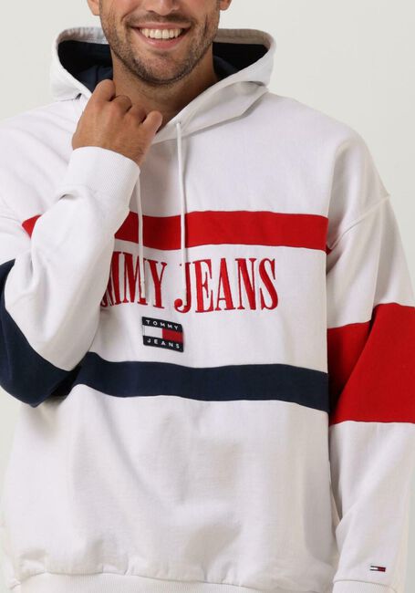 Mehrfarbige/Bunte TOMMY JEANS Sweatshirt TJM SKATER ARCHIVE BLOCK HOODIE - large