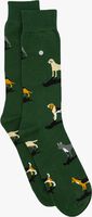 Grüne ALFREDO GONZALES Socken DOGS - medium