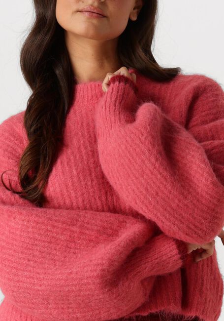 Rosane CO'COUTURE Pullover & Cardigans CORALEE CROP KNIT - large