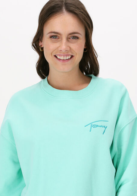 Minze TOMMY JEANS Sweatshirt TJW CROP TOMMY SIGNATURE CREW - large