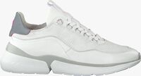 Weiße FLORIS VAN BOMMEL Sneaker low 85303 - medium