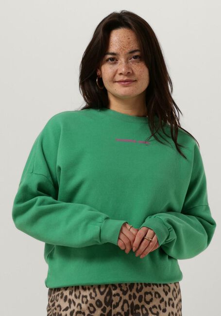 Grüne COLOURFUL REBEL Sweatshirt CR BACK LOGO WASH DROPPED SHOULDER SWEAT - large