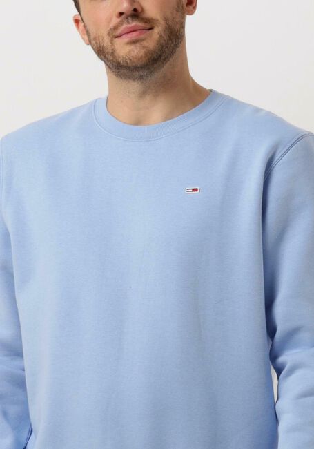 Blaue TOMMY JEANS Pullover TJM REGULAR FLEECE C NECK - large