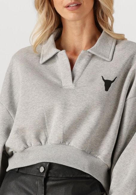 Graue ALIX THE LABEL Sweatshirt LADIES KNITTED POLO SWEATER - large