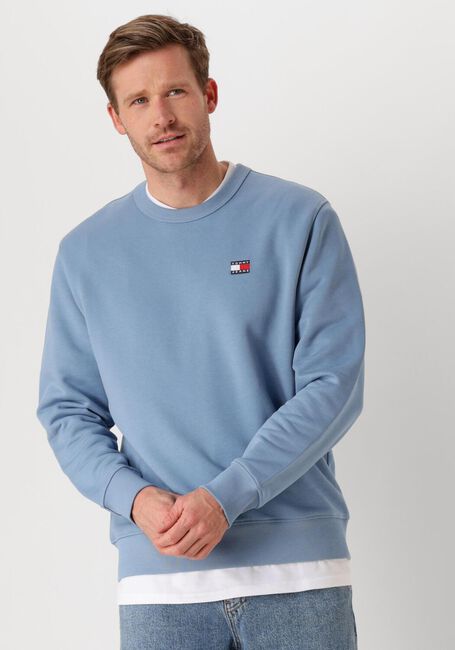 Blaue TOMMY JEANS Pullover TJM REG BADGE CREW EXT - large