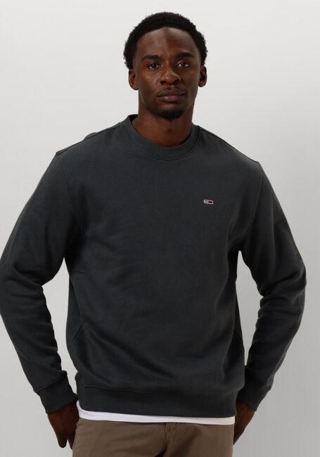 Graue TOMMY JEANS Pullover TJM REG S FLAG CREW - large
