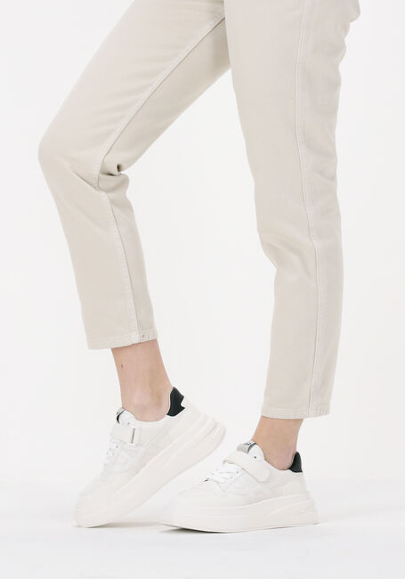 Weiße ASH Sneaker Low INDY - large