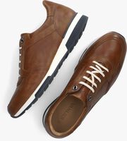 Cognacfarbene VAN LIER Sneaker low 2315570 - medium