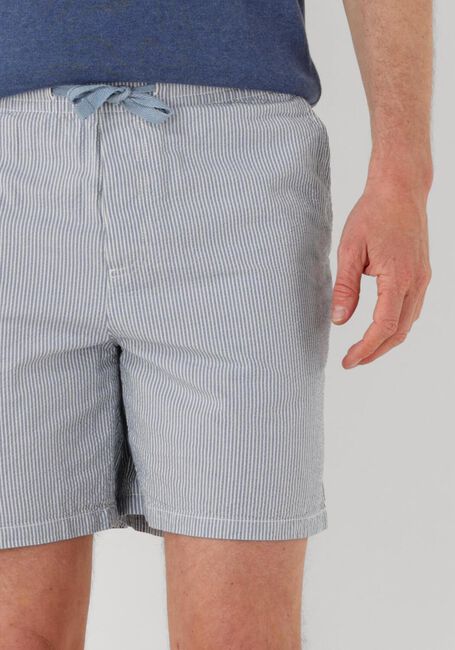 Hellblau TOMMY JEANS Kurze Hose TJM SEERSUCKER STP BEACH SHORT - large