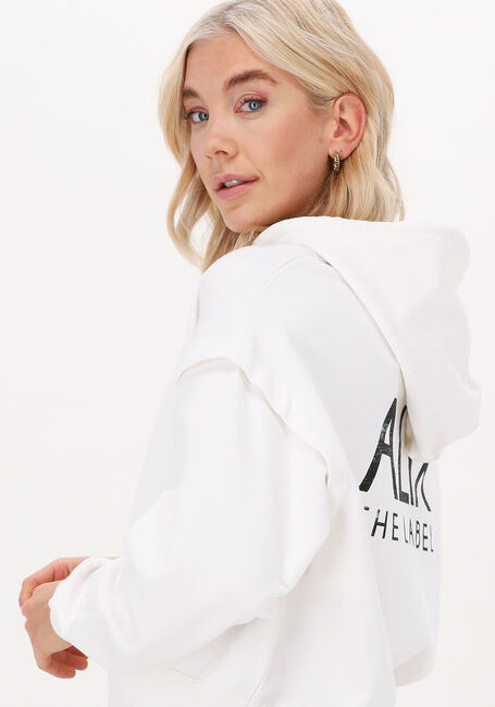 Nicht-gerade weiss ALIX THE LABEL Pullover LADIES KNITTED ALIX HOODIE - large